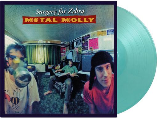 METAL MOLLY — SURGERY FOR ZEBRA — record image 1