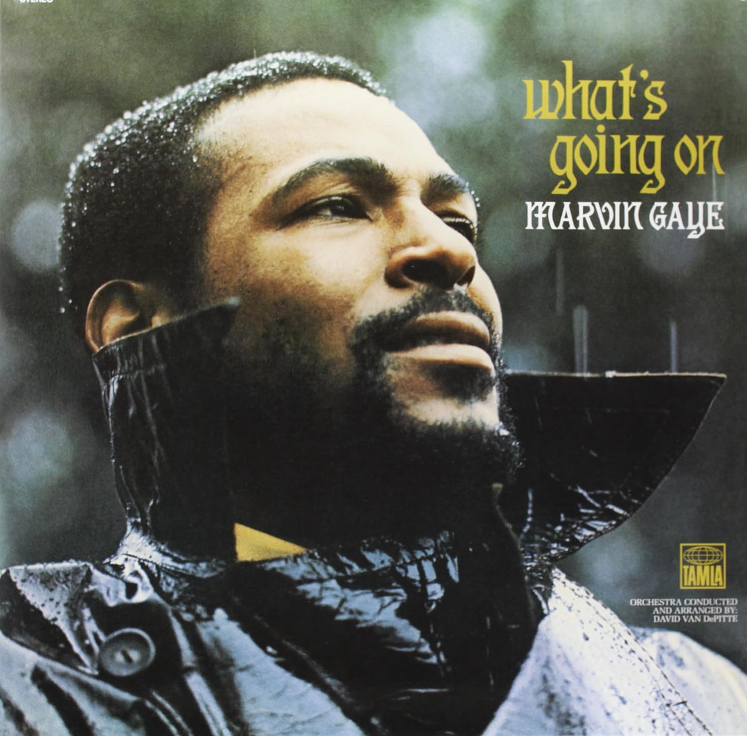 Marvin Gaye – What's Going On Vinyl LP | Noosa Records Store