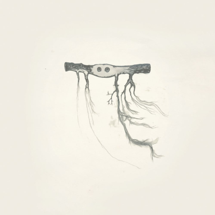 José González – In Our Nature