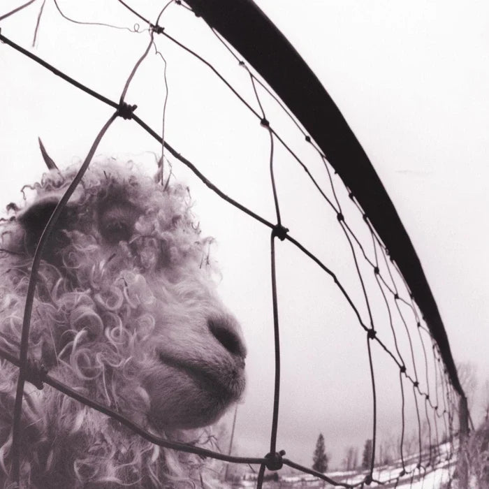Pearl Jam – Vs. (30th Anniversary, Clear Vinyl) — record image 1