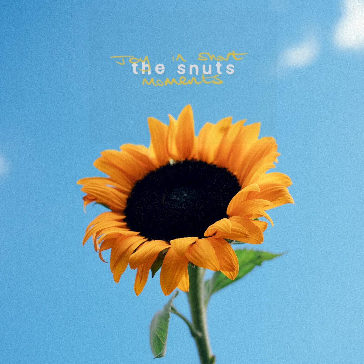 The Snuts – Joy in Short Moments vinyl record cover