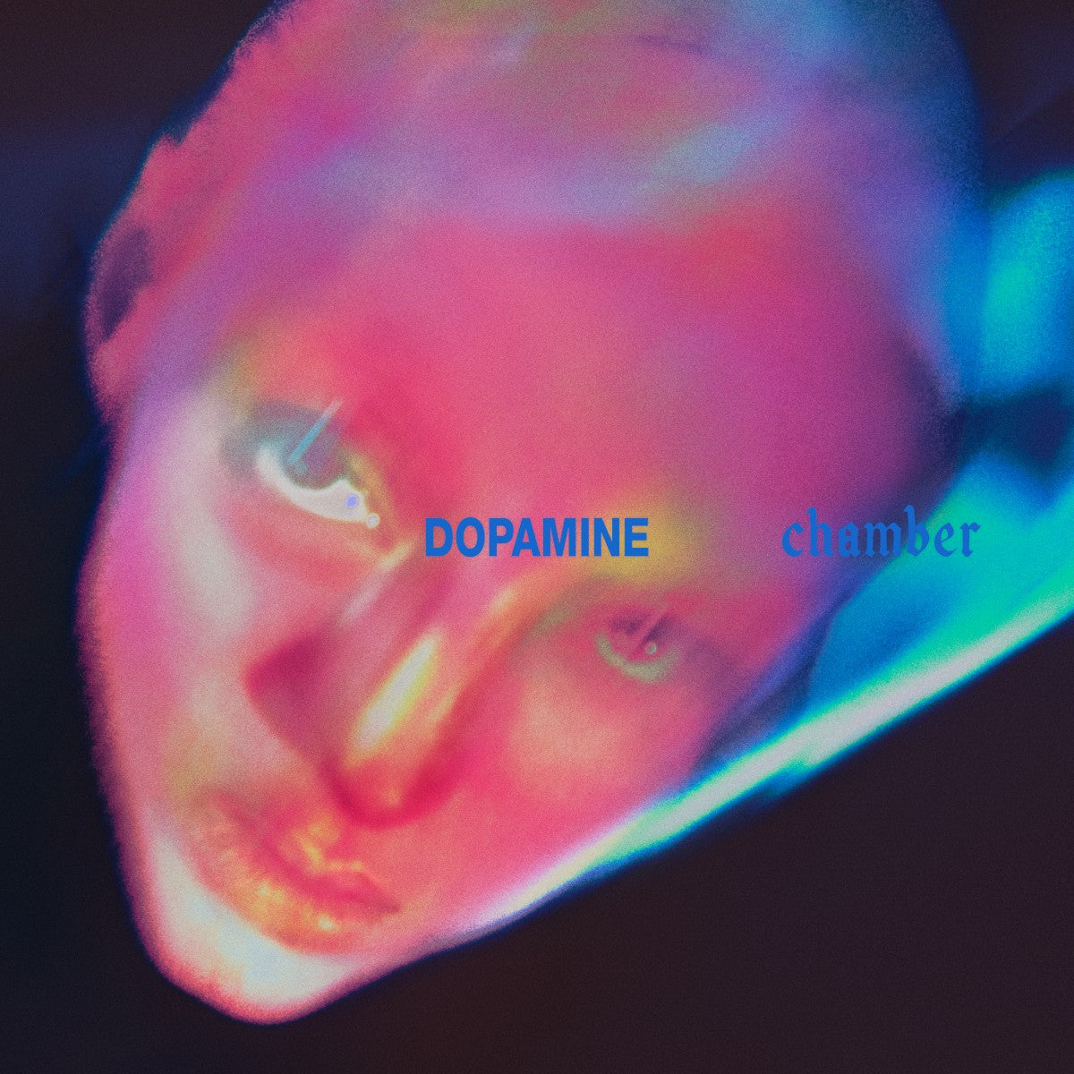 Fontaines D.C. – Dopamine Chamber vinyl record cover