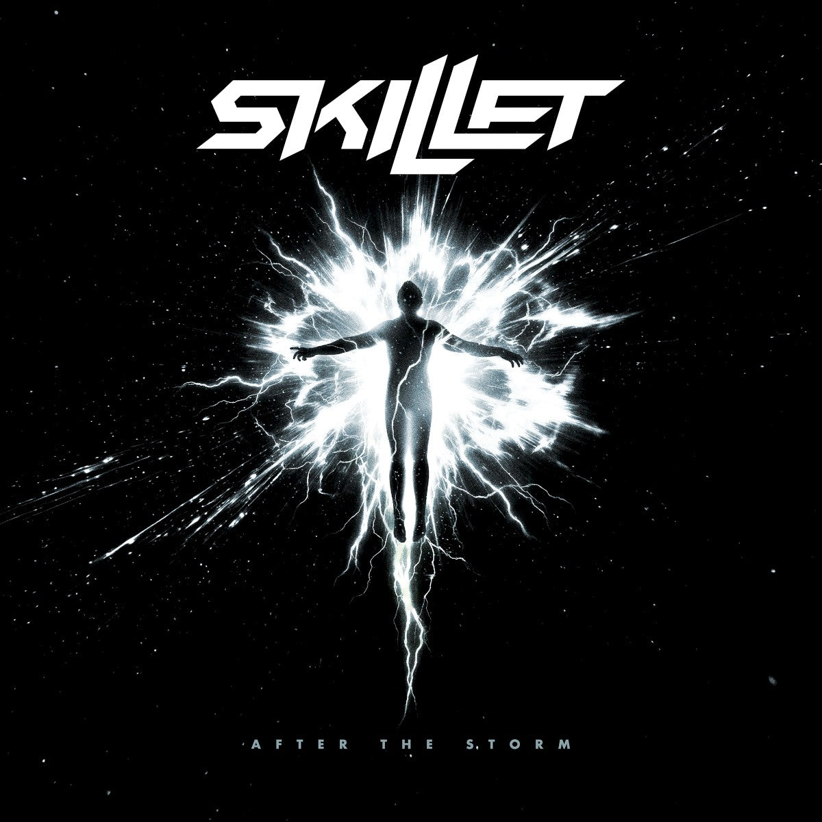 Skillet – After the Storm vinyl record cover