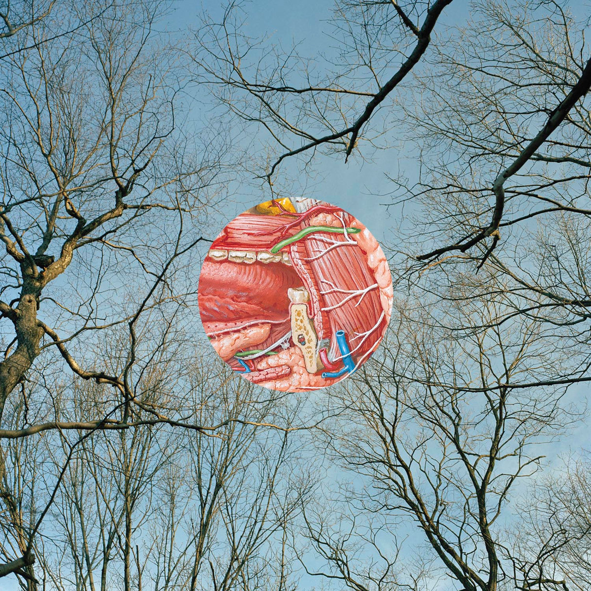 They Might Be Giants – Glean vinyl record cover
